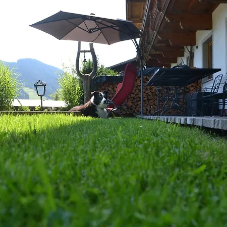 Pusteblume Lägenhet Haus (Tyrol)