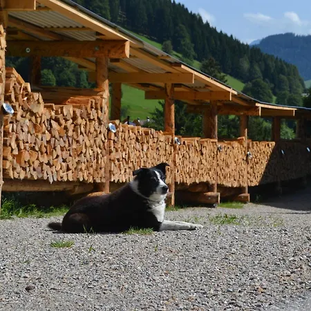 Pusteblume Lägenhet Haus (Tyrol)
