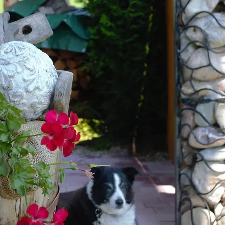 Pusteblume Апартаменты *