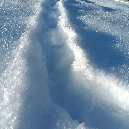 Апартаменты Pusteblume Haus (Tyrol)